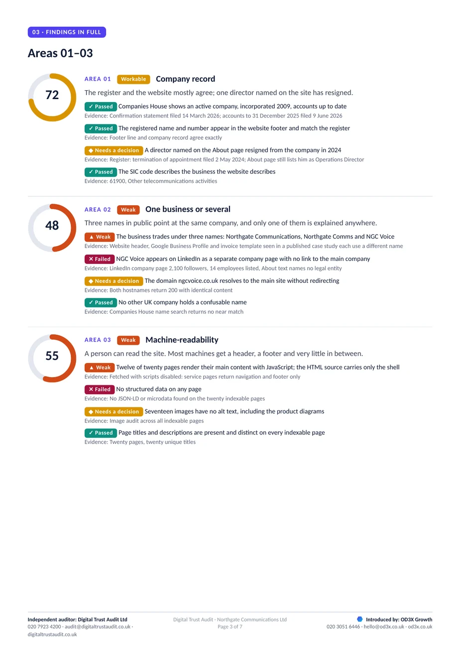 A findings page from the sample report, showing the company record, name consistency and machine-readability findings